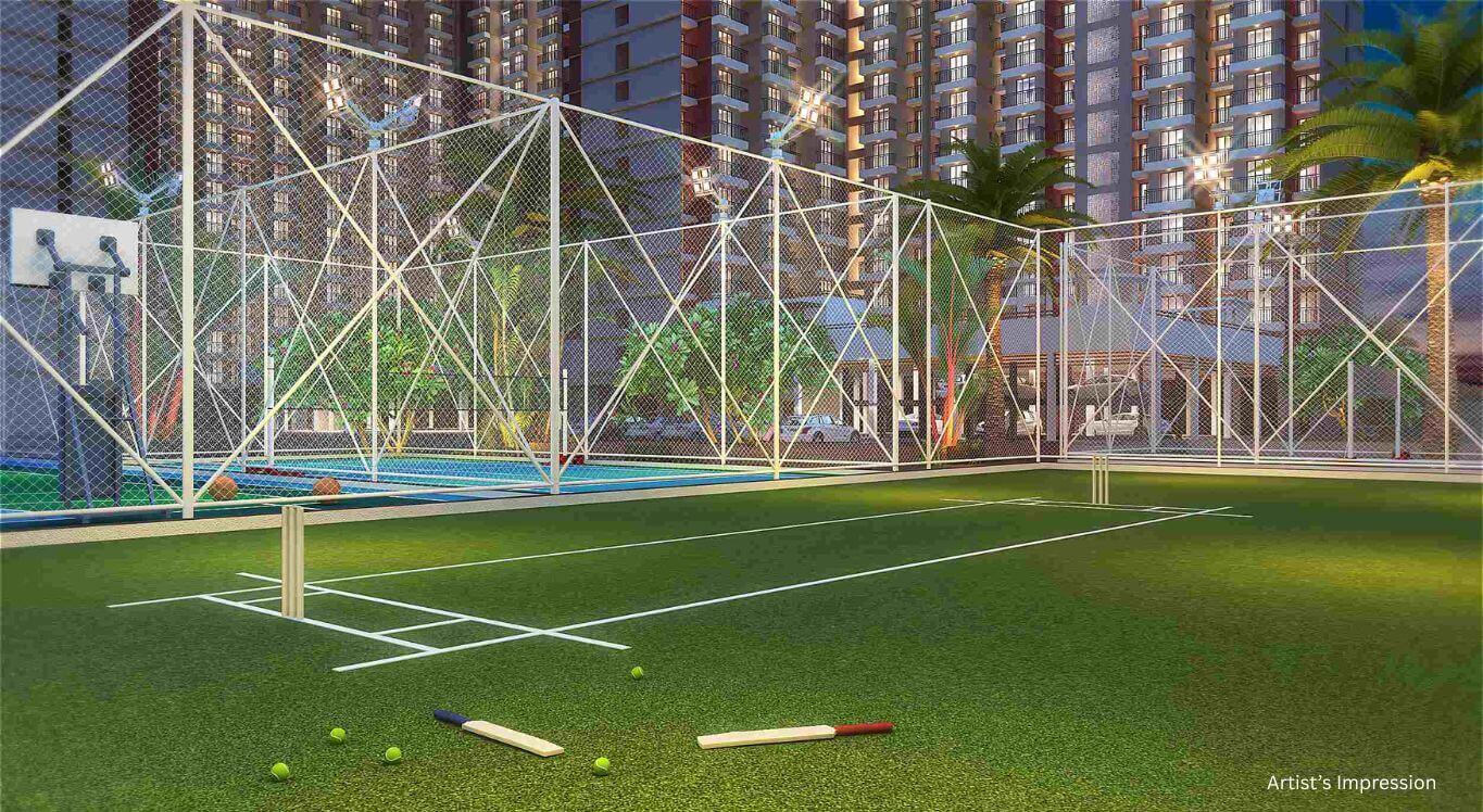 Cricket Turf