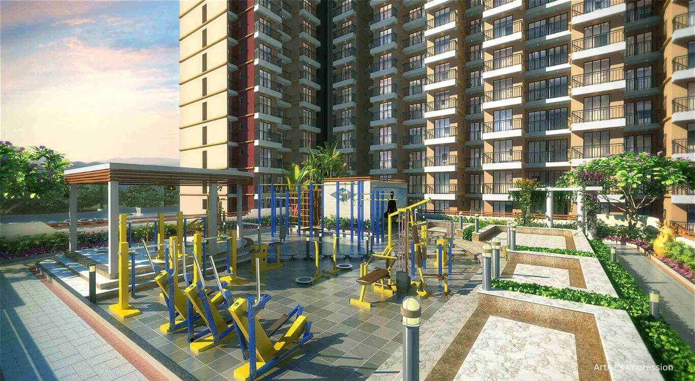 Outdoor Gymnasium